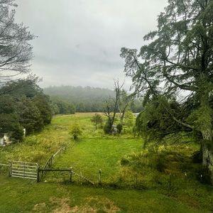 Meet your Posher, Teagan stevens